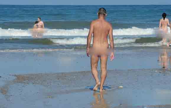 为什么你做网赚博客做不下去